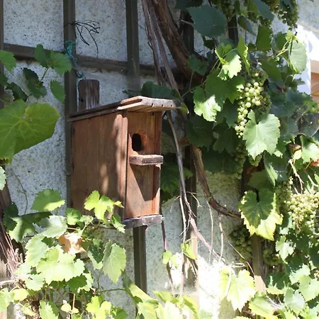 Eller * Traunwalchen