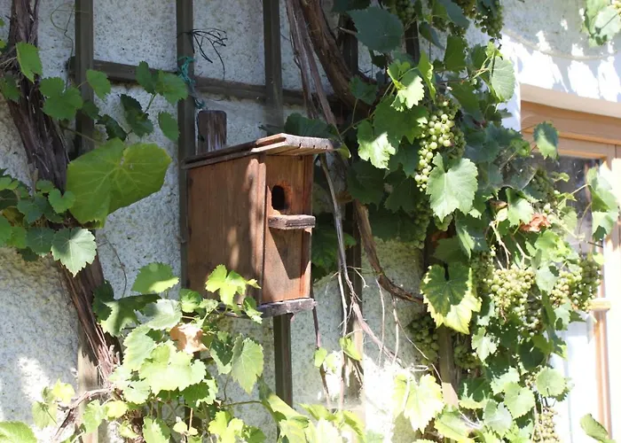 Eller * Traunwalchen
